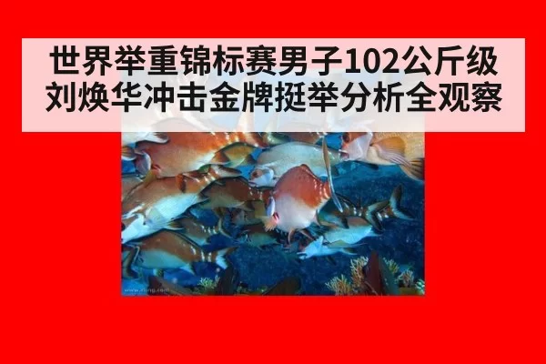 世界举重锦标赛男子102公斤级刘焕华冲击金牌挺举分析全观察
